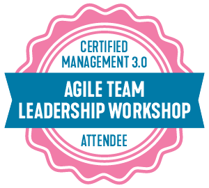 Agile Team Leadership